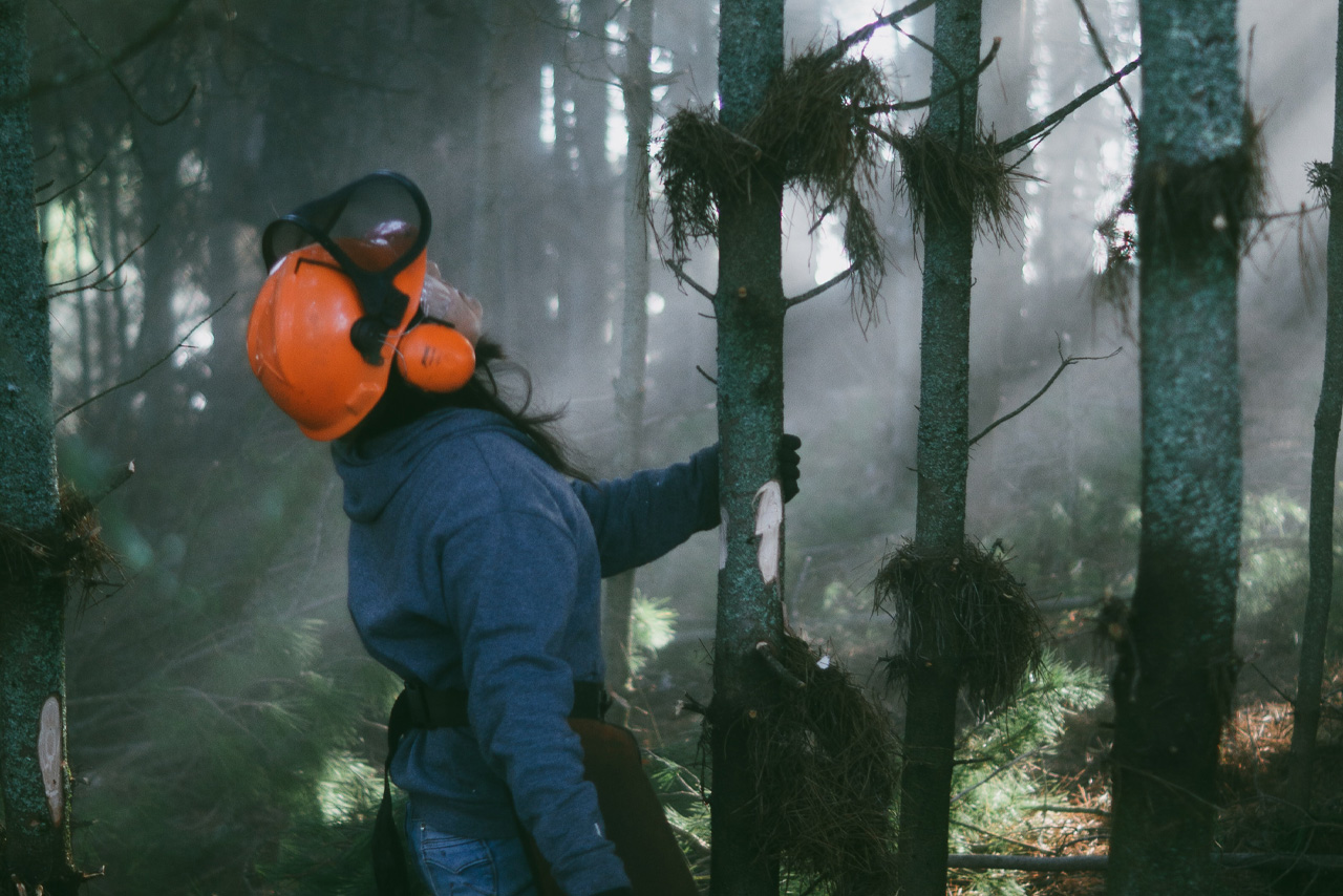 Kundcase – Trädfällargänget